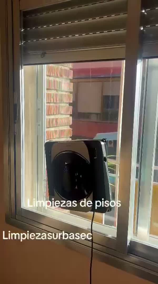 Aspirado profesional de un sofá